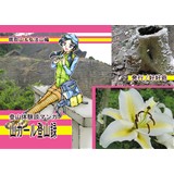 山ガール登山録 鷹取山&弘法山編